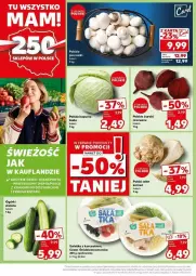 Gazetka promocyjna Kaufland - Gazetka - ważna od 12.11 do 12.11.2024 - strona 25 - produkty: Kurczak, Sałatka, Por, Tran, Sałat, Buraki, Sport, Fa