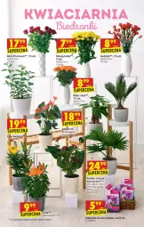 Gazetka promocyjna Biedronka - W tym tygodniu - Gazetka - ważna od 07.07 do 07.07.2021 - strona 11 - produkty: Sok, Róża, Laur, Storczyk, Odżywka