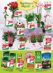 Gazetka promocyjna Dino - Gazetka - Gazetka - ważna od 29.06 do 29.06.2021 - strona 19 - produkty: Mus, Biohumus, Róża, Storczyk, Bukiet, Odżywka, Nawóz