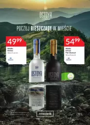 Gazetka promocyjna Stokrotka - Oferta alkoholowa - Gazetka - ważna od 13.10 do 13.10.2021 - strona 3 - produkty: Wódka