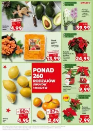Gazetka promocyjna Kaufland - Gazetka - ważna od 11.12 do 11.12.2024 - strona 3 - produkty: Cytryny, Kask, Kaki, Gwiazda, Storczyk
