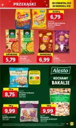 Gazetka promocyjna Lidl - GAZETKA - Gazetka - ważna od 17.12 do 17.12.2023 - strona 45 - produkty: Ketchup, Lajkonik, Koc, Orzeszki, Chipsy, Chrupki, Wazon, Przysnacki, Precelki, Lay’s, Krakersy