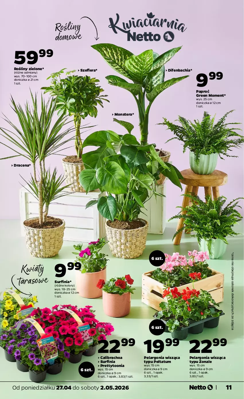 Gazetka promocyjna Netto - Od Poniedziałku - ważna 27.04 do 02.05.2026 - strona 11 - produkty: Chia, NBA, Surf, Tera