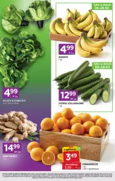 Gazetka promocyjna Stokrotka - Stokrotka Express - Gazetka - ważna od 04.03 do 04.03.2026 - strona 2 - produkty: Banany, Warzywa, Pomarańcze, Sałat, Owoce, Mięso, LG