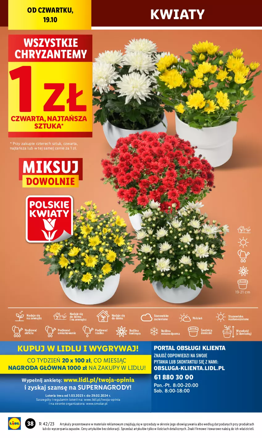 Gazetka promocyjna Lidl - GAZETKA - ważna 19.10 do 21.10.2023 - strona 44 - produkty: Cień, Gry, Mola, O nas, Por, Sok