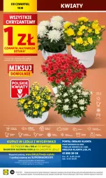 Gazetka promocyjna Lidl - GAZETKA - Gazetka - ważna od 21.10 do 21.10.2023 - strona 44 - produkty: Sok, Por, Gry, Cień, O nas, Mola