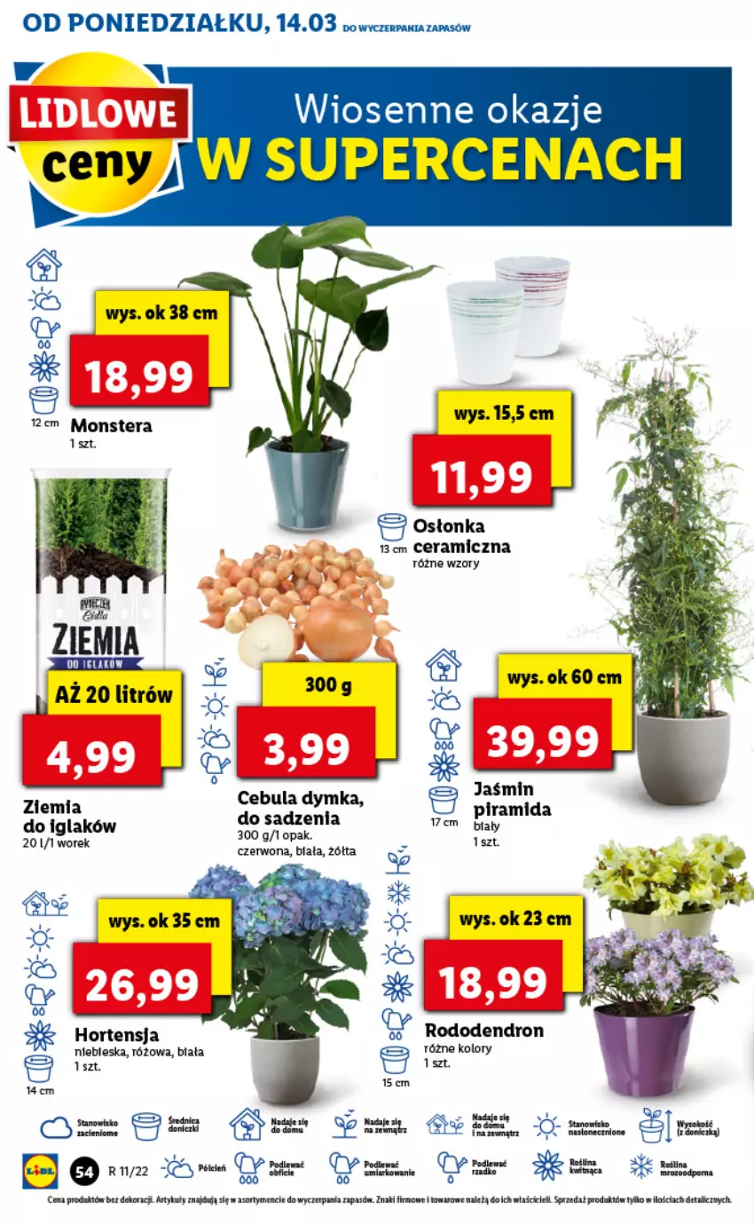 Gazetka promocyjna Lidl - GAZETKA - ważna 14.03 do 16.03.2022 - strona 54 - produkty: Cebula, Osłonka