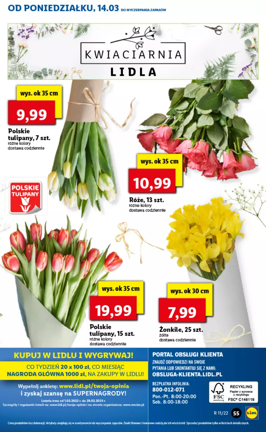 Gazetka promocyjna Lidl - GAZETKA - ważna 14.03 do 16.03.2022 - strona 55 - produkty: Fa, Gry, Mola, Por, Portal, Tulipan