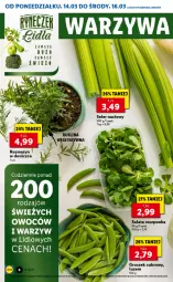 Gazetka promocyjna Lidl - GAZETKA - Gazetka - ważna od 16.03 do 16.03.2022 - strona 6 - produkty: Roszponka, Sałat, Seler naciowy, Groszek