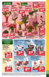 Gazetka promocyjna Stokrotka - Market - Gazetka - ważna od 18.02 do 18.02.2026 - strona 7 - produkty: Serek wiejski, Warzywa, Ser, Gra, Cyklamen, Piątnica, Tulipan, Róża, Zott, Serek, Optima, Storczyk, Edam, Pudding, Bukiet, Owoce, Napój, Mięso, Mleko